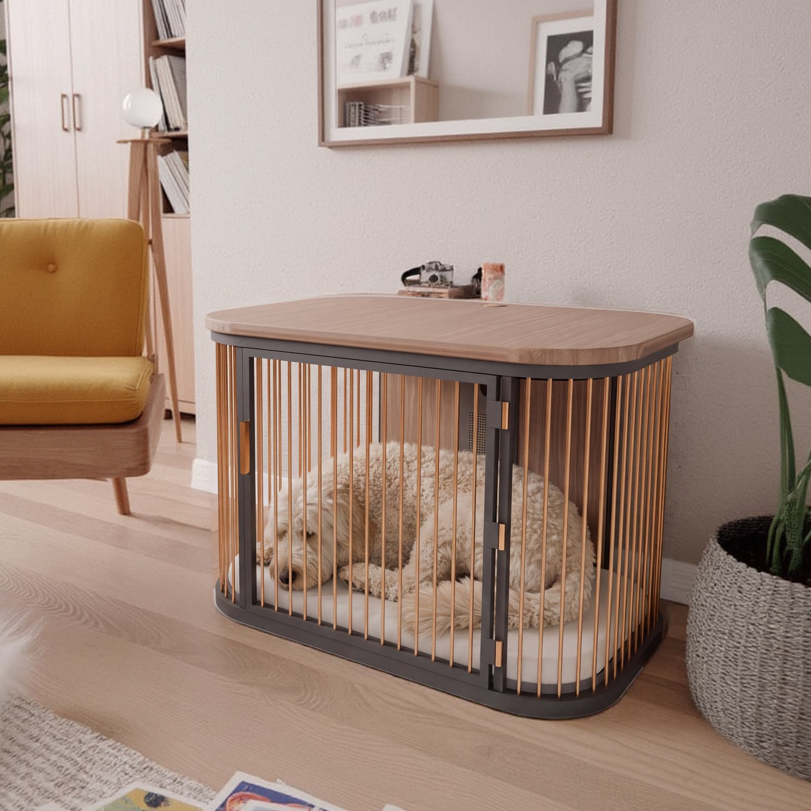 A labradoodle asleep in Koja in a mid-century living room