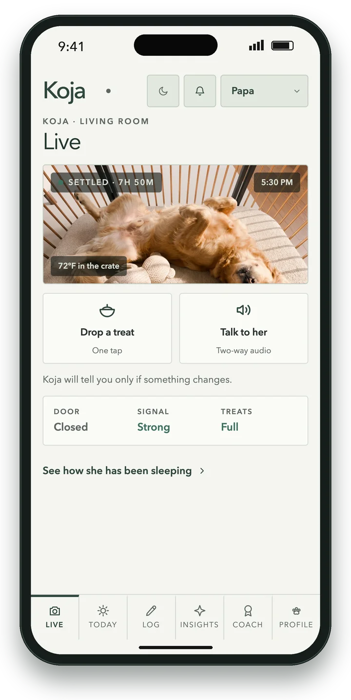 The Koja app Live screen