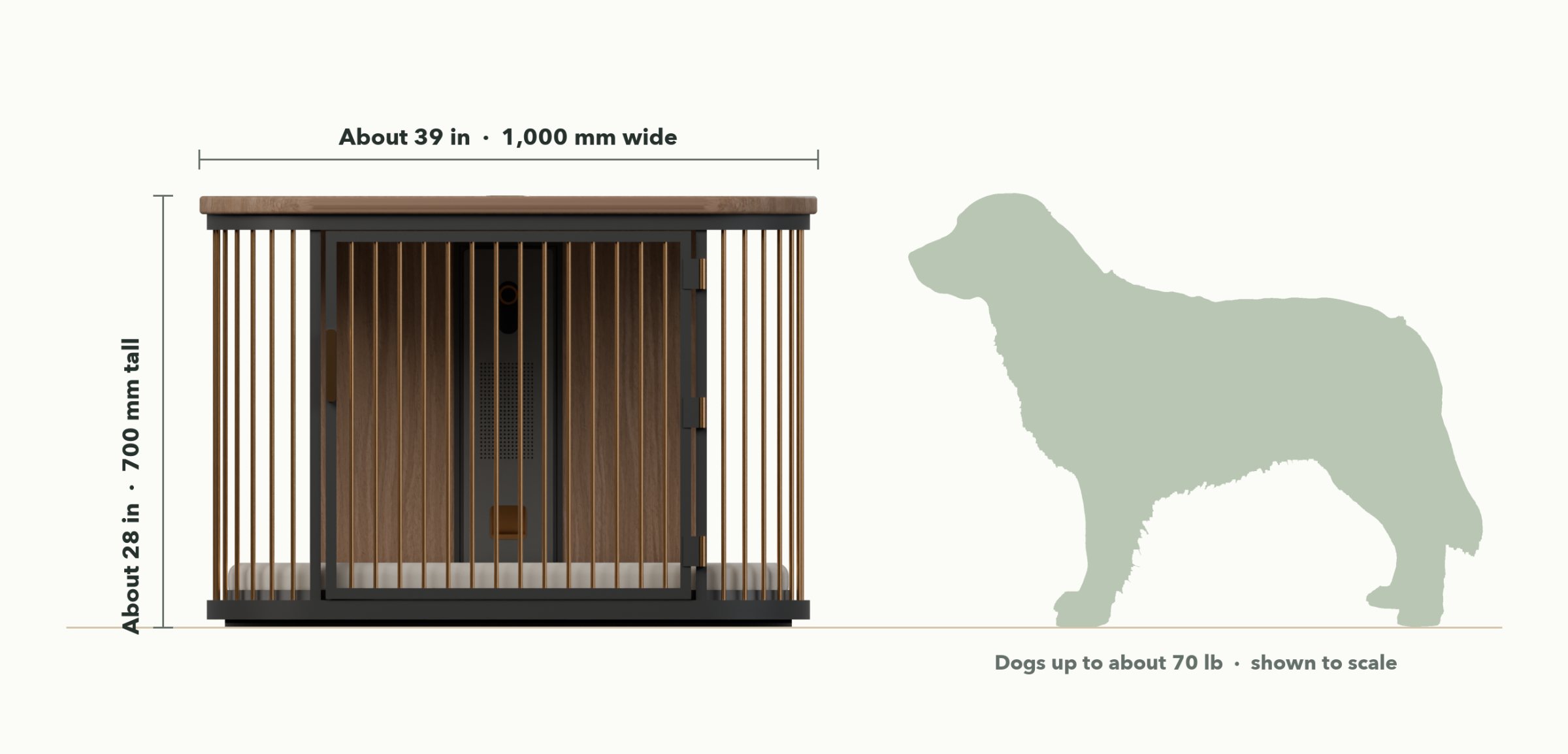 Front view of Koja, about 39 inches wide and 28 inches tall, beside a to-scale silhouette of a 70 lb dog